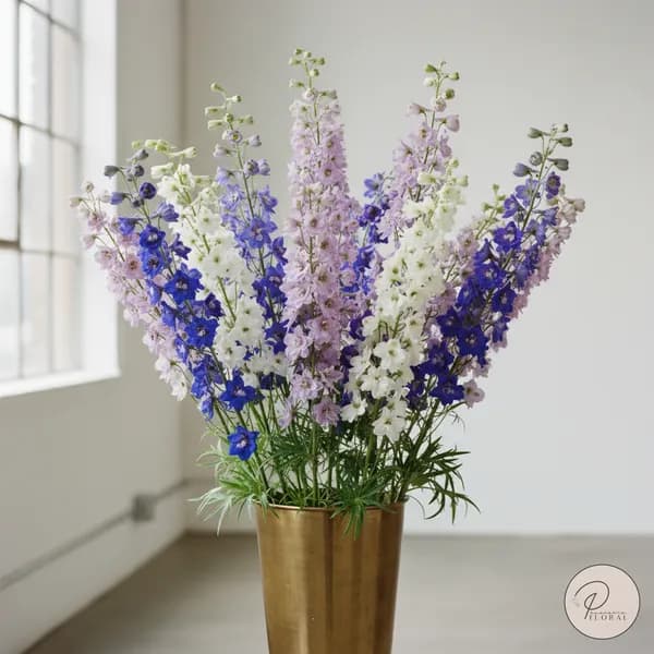 Delphiniums