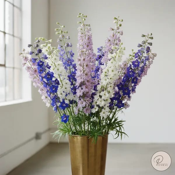 Delphiniums