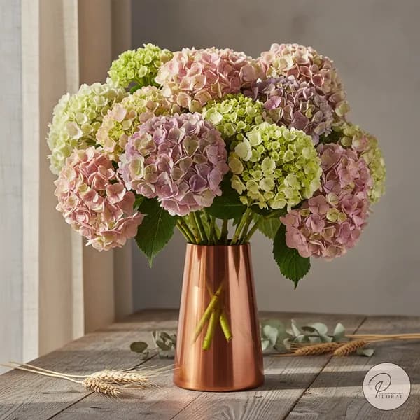 Hortensias